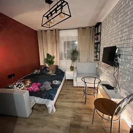 Kameralna Kawalerka W Stylu Loftu Blisko Centrum Varsovia Exterior foto